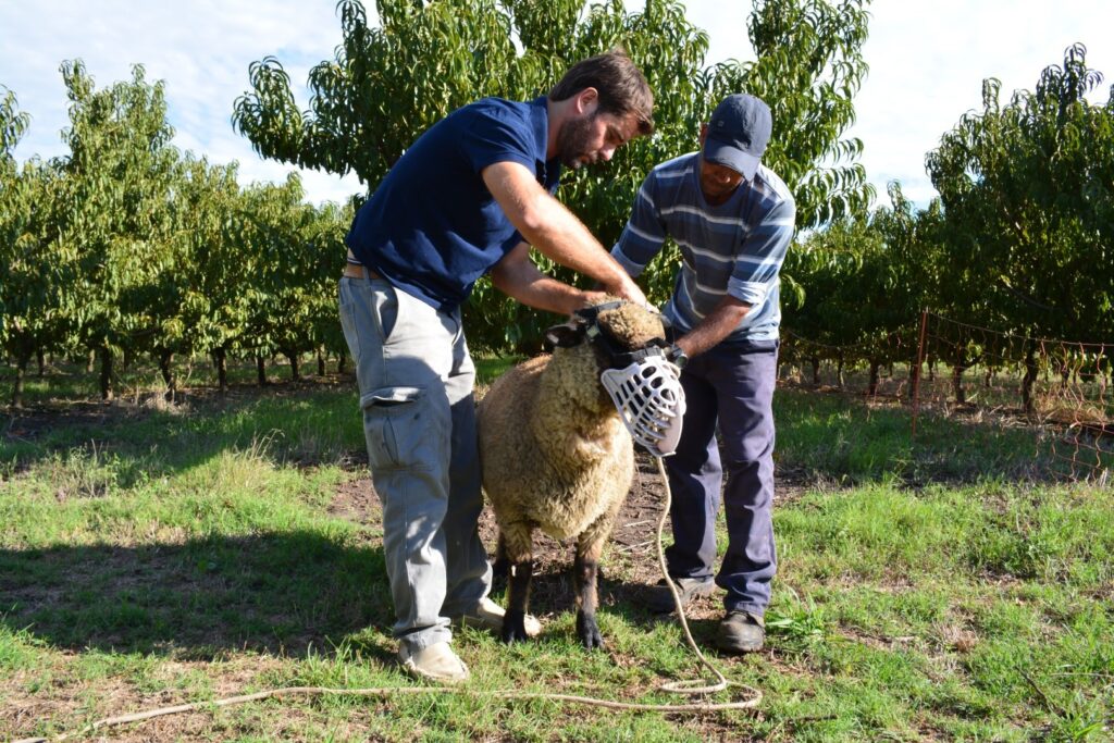 ZCopia-de-DSC_0003-1