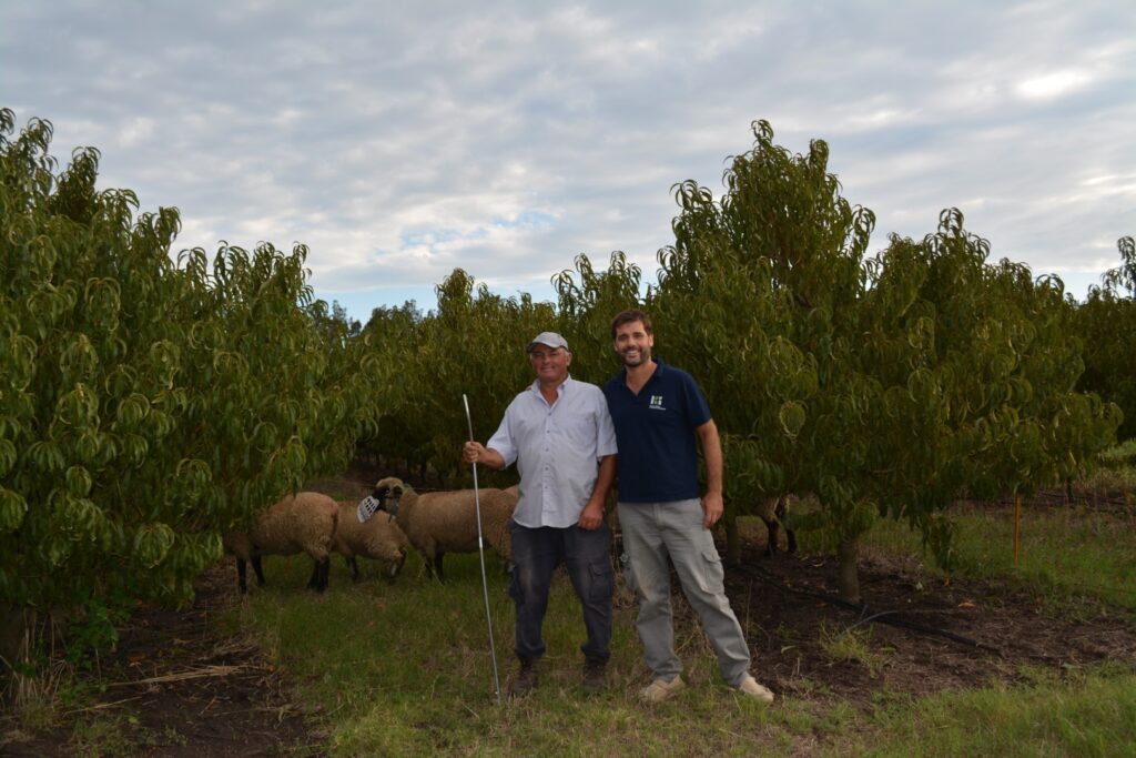 ZCopia-de-DSC_0144-1