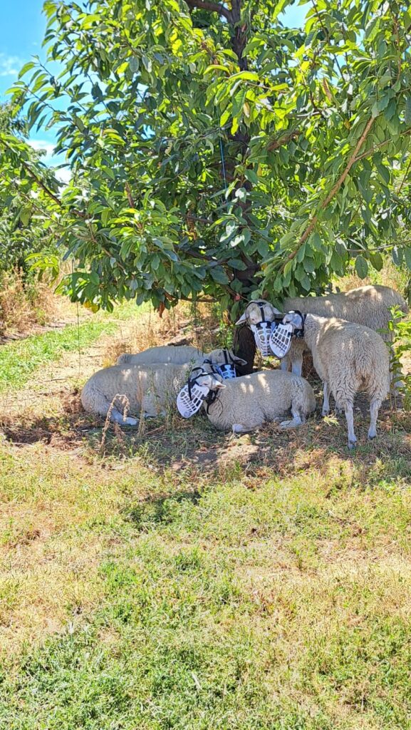 Imagen de WhatsApp 2024-02-14 a las 13.50.07_325de2a4